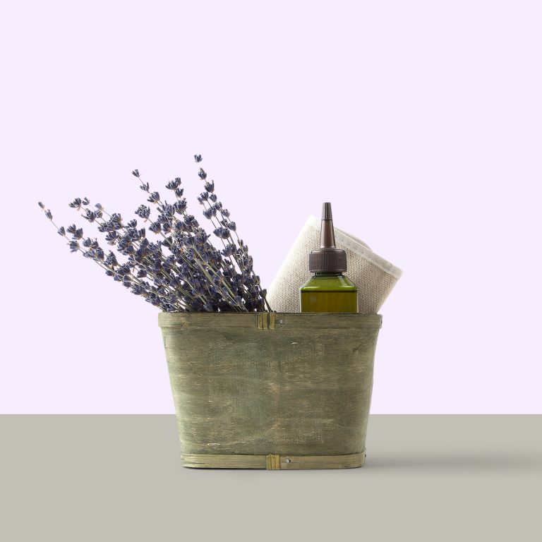 پروژه تست ...