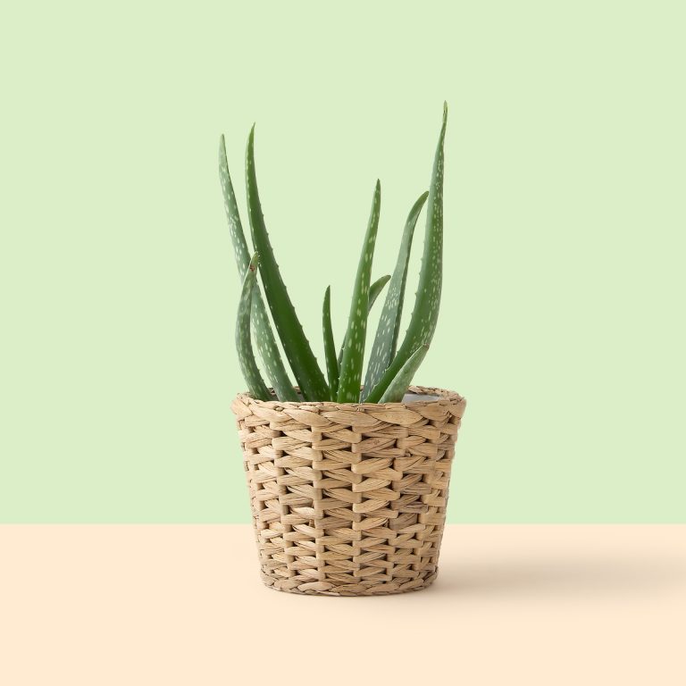 پروژه تست ...